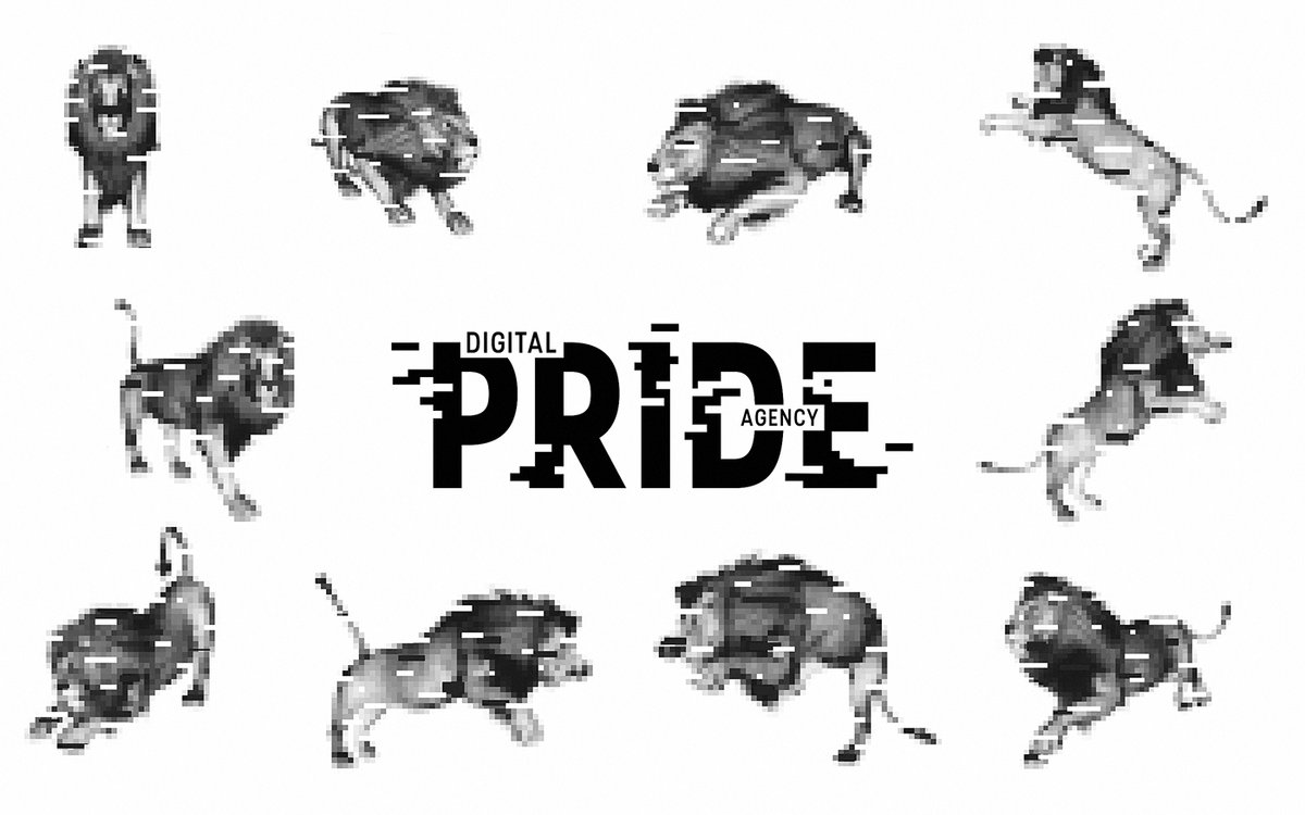 互聯(lián)網(wǎng)營銷企業(yè)Pride品牌形象設計

