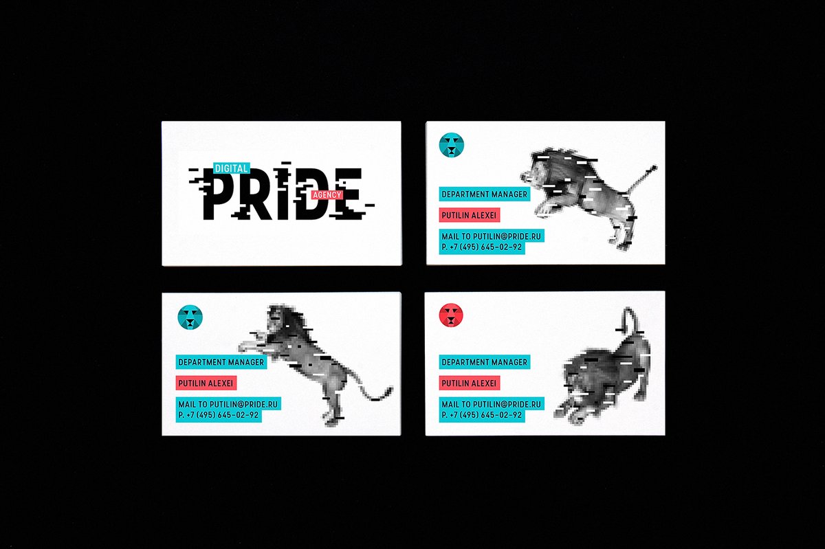 互聯(lián)網(wǎng)營銷企業(yè)Pride品牌形象設計
