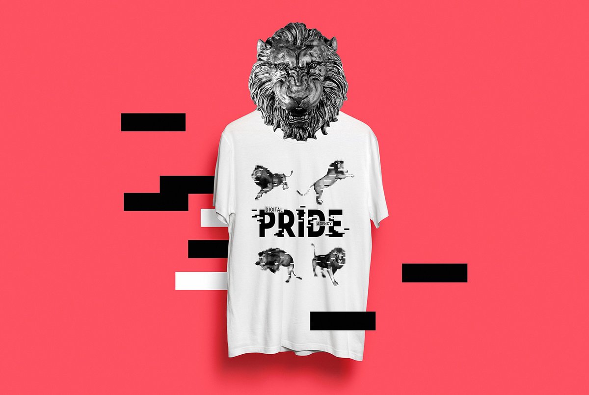 互聯(lián)網(wǎng)營銷企業(yè)Pride品牌形象設計
