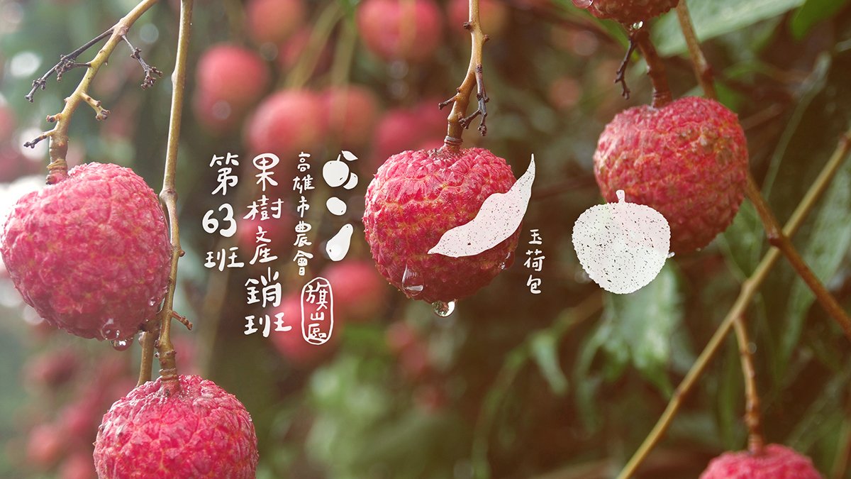 深圳品牌設(shè)計  深圳品牌策劃  高雄市農(nóng)會果樹產(chǎn)銷班第63班品牌形象設(shè)計  標(biāo)志設(shè)計