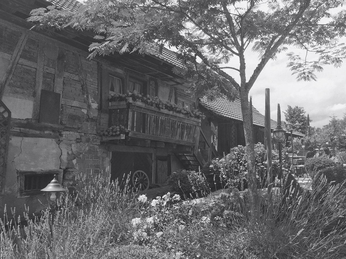 德國餐廳（餐飲）品牌標(biāo)志設(shè)計(jì)和品牌設(shè)計(jì)——logo與馬牧場(chǎng)背景相關(guān)，品牌設(shè)計(jì)，餐飲品牌設(shè)計(jì)，餐飲logo設(shè)計(jì)，餐廳品牌設(shè)計(jì)，品牌標(biāo)志設(shè)計(jì)，深圳品牌設(shè)計(jì)