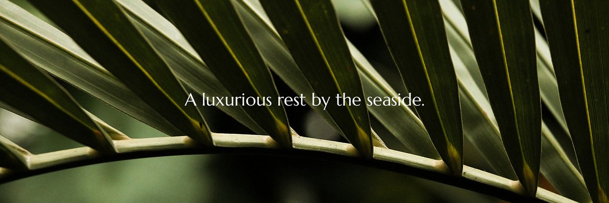 TULUM LUXURY海邊豪華酒店品牌設(shè)計和宣傳畫冊設(shè)計案例,品牌設(shè)計，酒店品牌設(shè)計，宣傳畫冊設(shè)計，酒店畫冊設(shè)計，深圳品牌設(shè)計