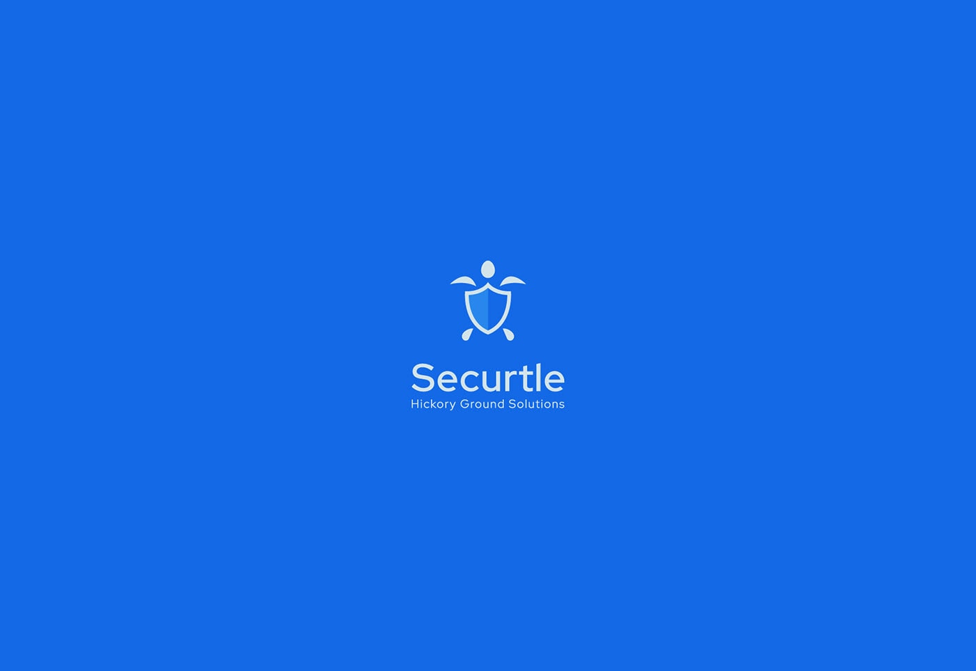 Securtle 網(wǎng)絡(luò)金融咨詢企業(yè)品牌視覺設(shè)計，金融品牌設(shè)計，品牌形象設(shè)計，品牌設(shè)計公司，左右格局