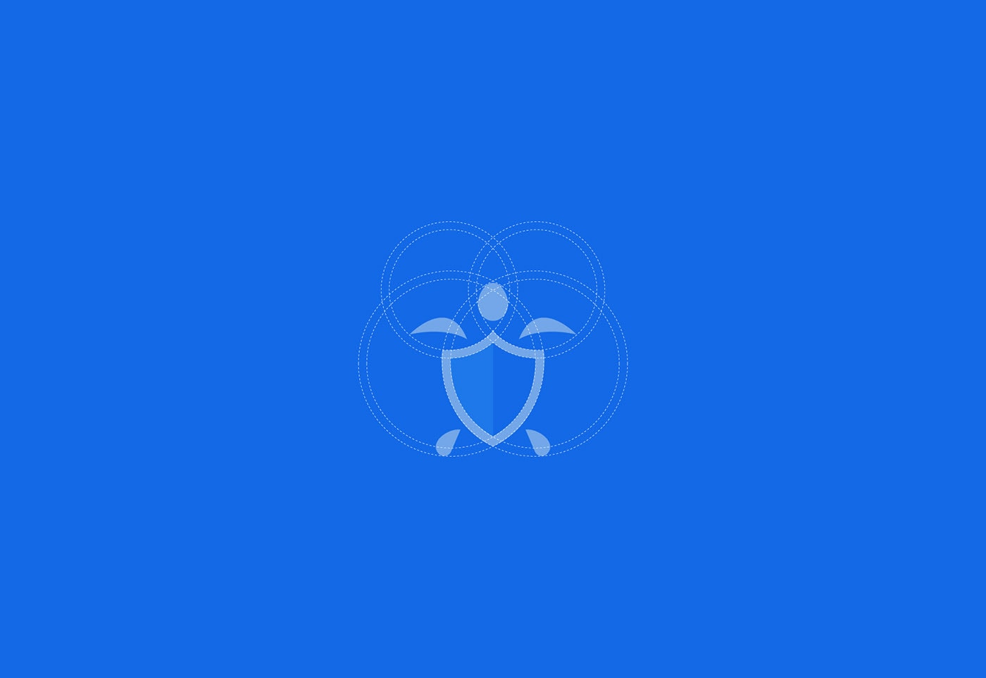 Securtle 網(wǎng)絡(luò)金融咨詢企業(yè)品牌視覺設(shè)計，金融品牌設(shè)計，品牌形象設(shè)計，品牌設(shè)計公司，左右格局