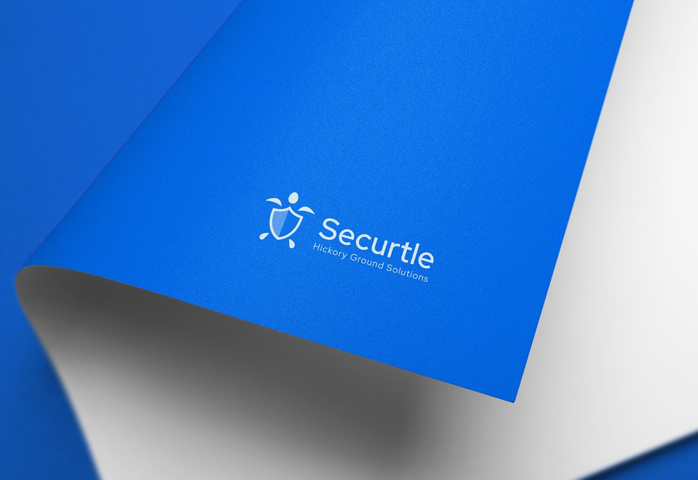 Securtle 網(wǎng)絡(luò)金融咨詢企業(yè)品牌視覺設(shè)計，金融品牌設(shè)計，品牌形象設(shè)計，品牌設(shè)計公司，左右格局