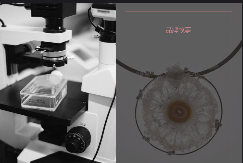 Vsense如何成為目標(biāo)客戶的意見(jiàn)領(lǐng)袖